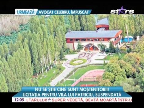 Licitaţia pentru vila lui Dinu Patriciu a fost suspendată