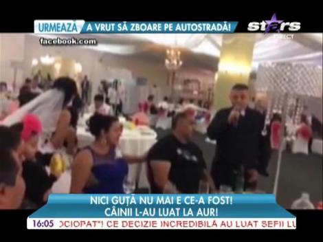 Nicolae Guţă a cântat la o nuntă unde și câinii erau îmbrăcați în aur!