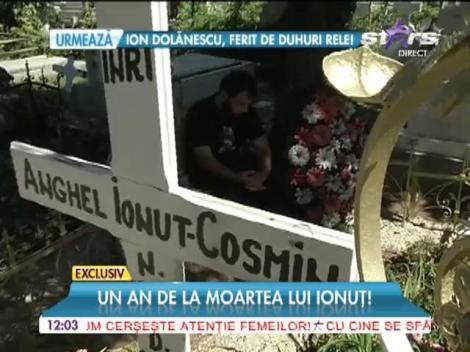 Un an de la moartea lui Ionuţ Anghel, copilul sfâşiat de câini