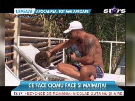 Ciomu şi-a dus maimuţa la sală