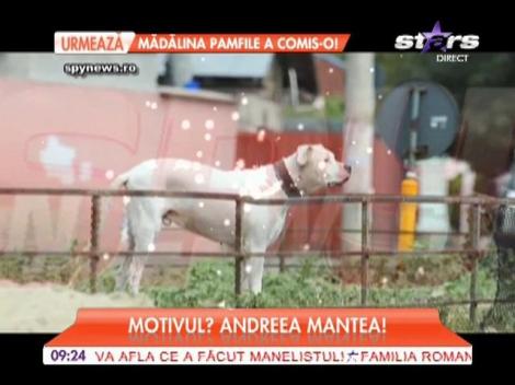 Cristi Mitrea, iubitul Andreei Mantea, își neglijează cel mai bun prieten