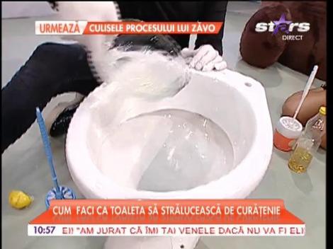 Cum faci toaleta sa struleasca de curatenie! Metoda ieftina si simpla