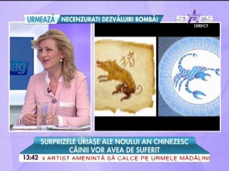 Surprizele uriaşe ale noului an chinezesc! Ce zodii au noroc, bani şi dragoste în 2015