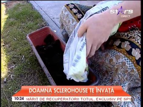 Doamna Sclero te învaţă cum să îţi faci propria grădină acasă