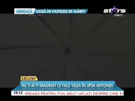 Ce face Velea după ce a plecat Antonia?