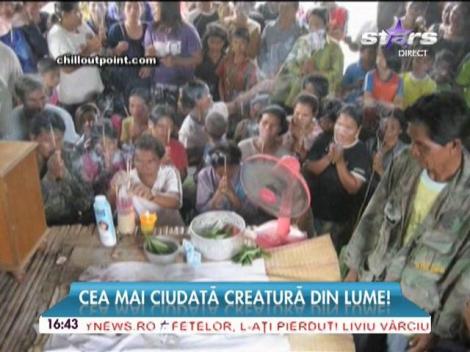 A fost descoperită cea mai ciudată creatură din lume! Capul este imens, iar stomacul umflat