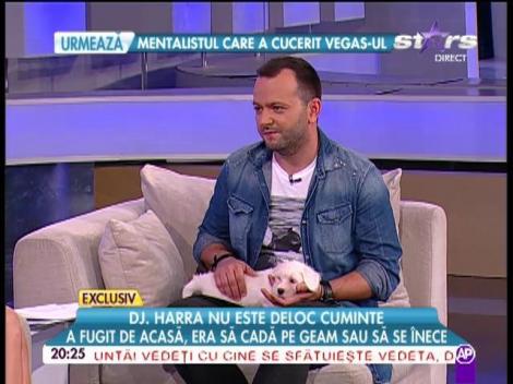 Dj Harra, moment penibil la televizor! Ce a făcut câinele ei în emisiunea lui Mihai Morar