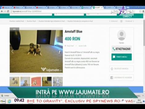 La jumate.ro, locul în care puteți vinde sau cumpăra orice obiect - 11/11/2015