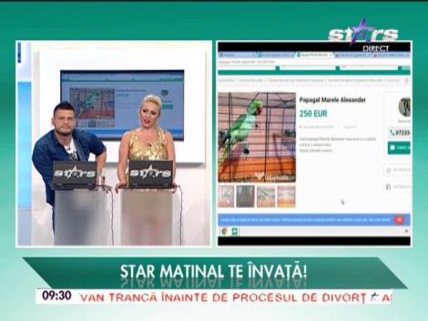 La jumate.ro, locul în care puteți vinde sau cumpăra orice obiect - 24/11/2015