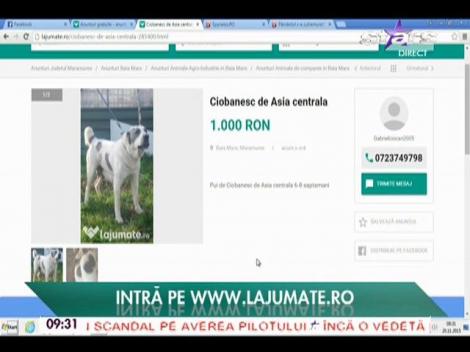 La jumate.ro, locul în care puteți vinde sau cumpăra orice obiect - 20/11/2015