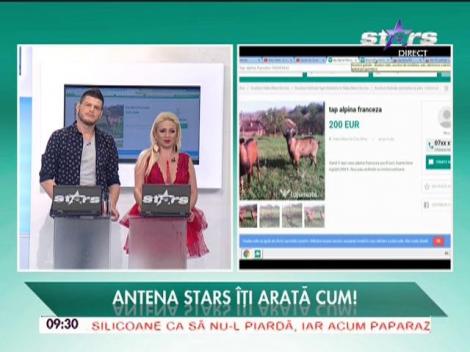 La jumate.ro, locul în care puteți vinde sau cumpăra orice obiect - 18/11/2015