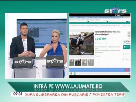 La jumate.ro, locul în care puteți vinde sau cumpăra orice obiect - 06/11/2015
