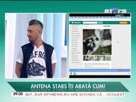 La jumate.ro, locul în care puteţi vinde sau cumpăra orice obiect - 28/11/2015