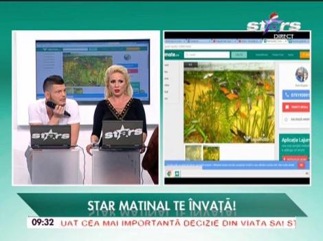 La jumate.ro, locul în care puteţi vinde sau cumpăra orice obiect - 08/12/2015