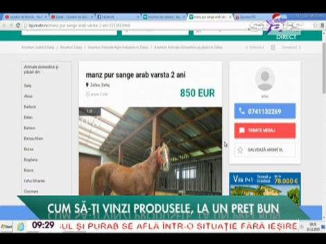 La jumate.ro, locul în care puteţi vinde sau cumpăra orice obiect - 16/12/2015