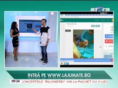 La jumate.ro, locul în care puteţi vinde sau cumpăra orice obiect - 15/01/2016