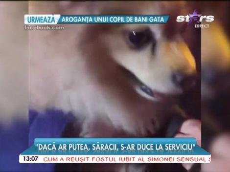 Oana Zăvoranu face fapte bune. Pe cine s-a hotăr&acirc;t să ajute de această dată