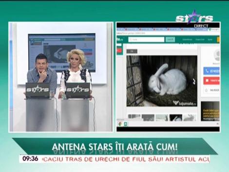 La jumate.ro, locul în care puteţi vinde sau cumpăra orice obiect - 15/02/2016