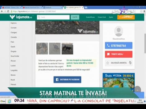 La jumate.ro, locul în care puteţi vinde sau cumpăra orice obiect - 03/03/2016