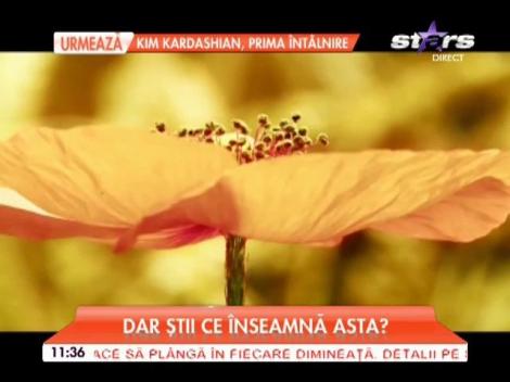 Cum să-ţi alegi "baba" din luna martie? Superstiţiile despre această tradiţie sunt ultuitoare