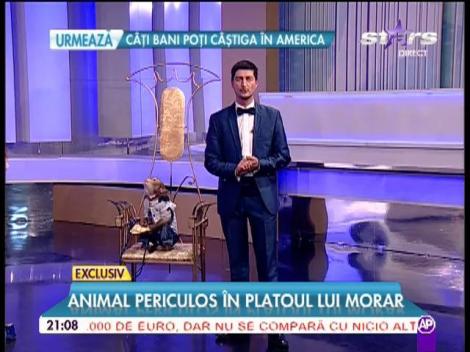 A avut palpitaţii. Mihai Morar s-a urcat pe scară de frică atunci când a văzut cine intră în platou