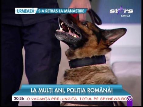 Mihai Morar a testat în direct câinele Poliţiei! Cum s-a descurcat patrupedul când a fost pus să găsească portofelul doldora cu bani al vedetei