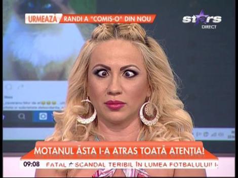 Rocsana Marcu a făcut-o în direct la TV! Adevărul din spatele acestei imagini