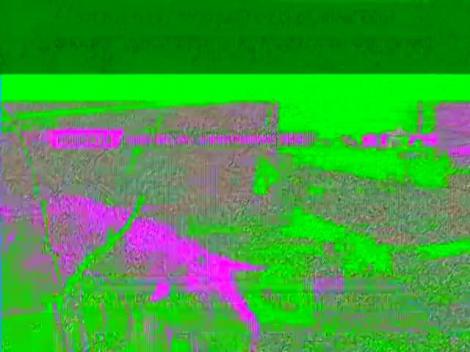 Ţapul care vorbeşte cu Dumnezeu! Săptămâna mare l-a transformat total!