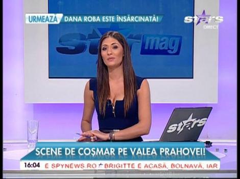 Scene de coşmar în Valea Prahovei! Un urs a băgat panica în turişti! În loc să fugă, au scos telefonul şi au filmat