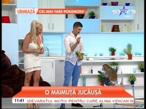 Cel mai simpatic pitic din România, devenit tătic acum trei săptămâni, pus în dilemă: ”Fetița este blondă”