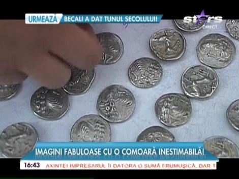 A mers în pădure și s-a îmbogățit peste noapte! O pasiune i-a schimbat viața unui șofer sărac!