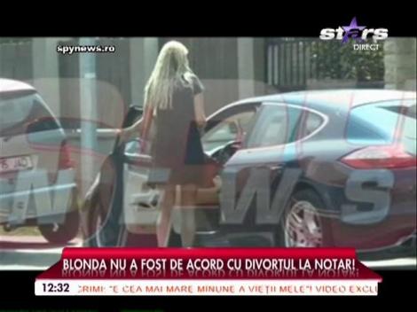 Cristi Borcea și Alina Vidican, la tribunal