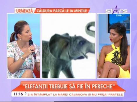 Feng Shui la tine acasă! Ce să faci să ai noroc în bani și dragoste