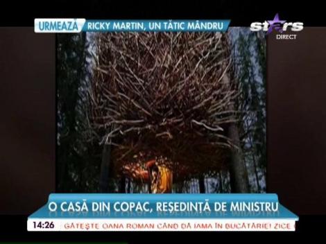 Cele mai frumoase case din lume construite în copaci