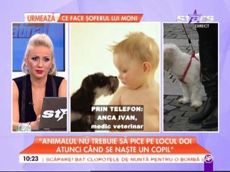 Sunt periculoase animalele de companie pentru bebeluşi? "Sunt chiar recomandate pentru copiii cu autism sau sindrom Down şi chiar pentru cei bolnavi de cancer"