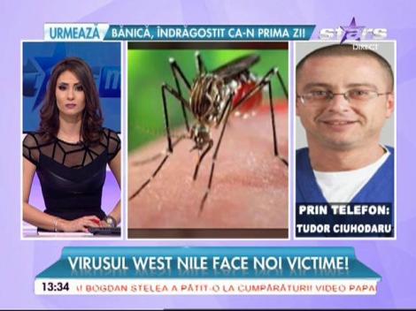 Virusul West Nile face noi victime. Un bărbat din Iaşi a murit