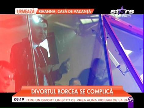 Divorţul lui Cristi Borcea de Alina Vidican se amână