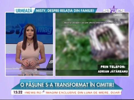 Mai multe cadavre de bovine au fost abandonate pe un câmp din judeţul Braşov