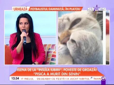 Elena de la "Insula Iubirii", poveste de groază! "Două luni nu am putut să dorm după ce mi-a murit pisica"