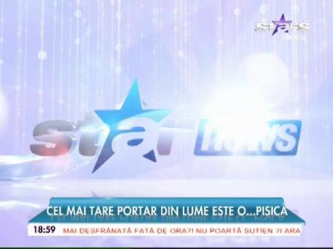 Cel mai tare portar din lume este o pisică! Animalul acesta e un adevărat fenomen! (VIDEO)