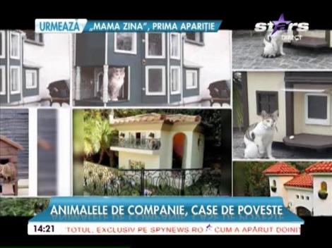 Unele dintre cele mai frumoase case ale animalelor de companie