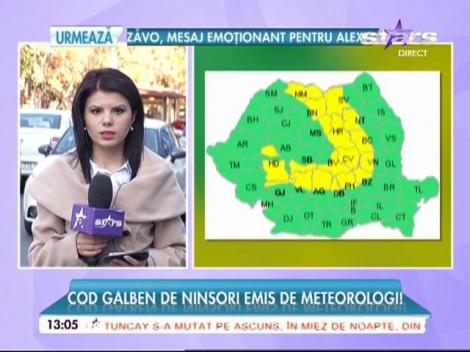 Cod galben de ninsori emis de meteorologi!