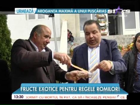 Dorin Cioabă, la ziua recoltei de kiwi şi ananas!