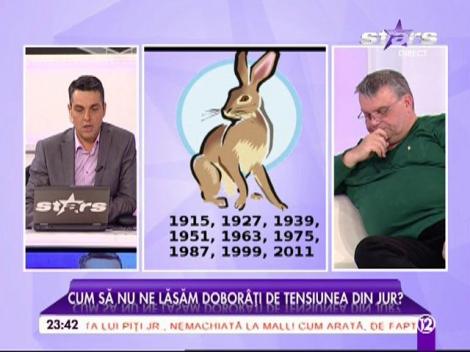 Vin pericole și mult ghinion pentru toți! Zodiacul chinezesc avertizează! Am intrat într-o lună de sufocare!