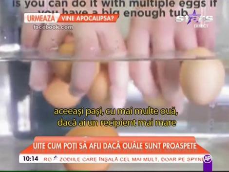 Cum știi că oul e vechi sau proaspăt? Acesta este singurul mod prin care poți afla! (VIDEO)