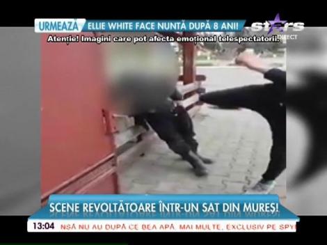 Imagini greu de privit, care au revoltat România! Bătrân inofensiv, lovit de un adolescent, cu piciorul, în față. Trupul i s-a îndoit de la jumătate