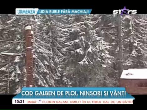 Cod galben de ploi, ninsori şi vânt puternic