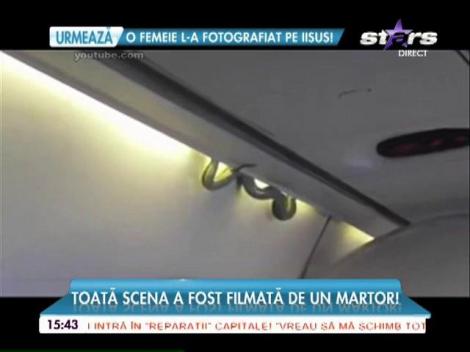 Panică în avion. O viperă a căzut dintr-un bagaj!