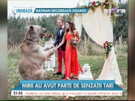 Un urs de 300 de kilograme, cavaler de onoare!