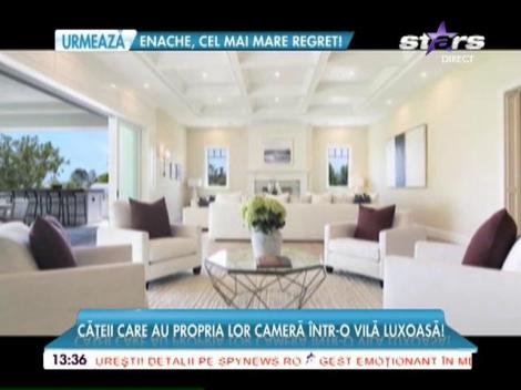 Cățeii lui Kyilie Jenner au propria cameră într-o vilă luxoasă!